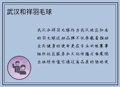 武汉和祥羽毛球
